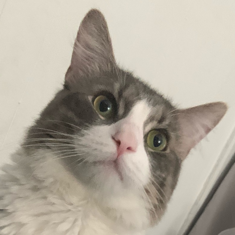 Meet your Posher, Aaliyah